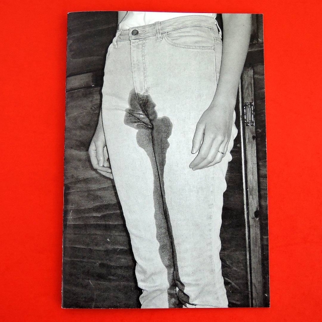 "Domestic Photography" by Brad Phillips, published by @innen_books now available zinekong.com