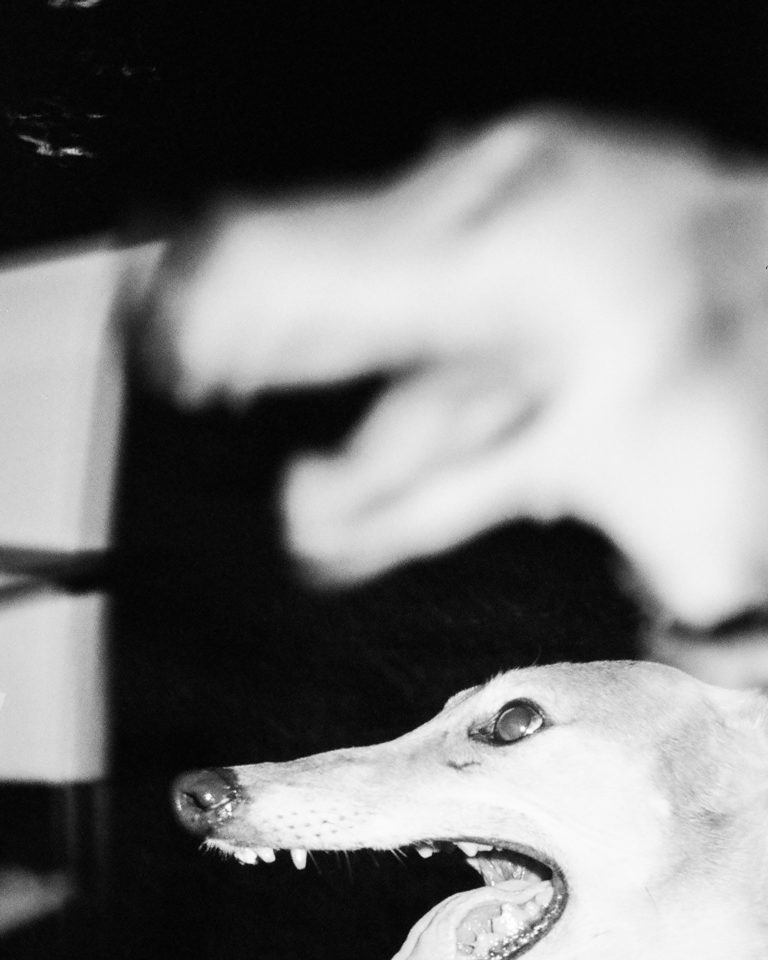 HAMBURGER EYES Photo Magazine